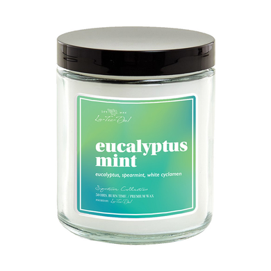 Jar Candle - Eucalyptus Mint